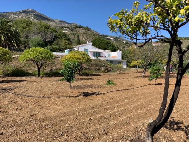 Casa 2Mariposas Vila Mijas Exterior foto